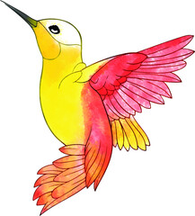Watercolor wildlife natural bird