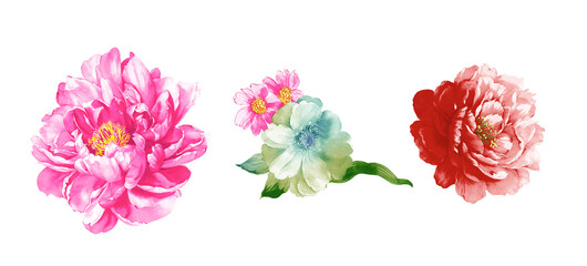  watercolor flowers