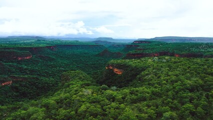 Amazing green landscape of canyon, there is a lot of trees and rocks all of it is shot by drone from aerial view in the cloudy day without sun this picture gives you very calm mood magic of nature