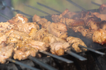 Cooking meat on the street. Shish kebab is fried on a fire and coals.