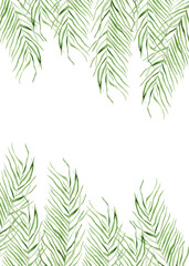 Naklejka na ściany i meble Palm leaf watercolor single isolated element. Template for decorating designs and illustrations. 