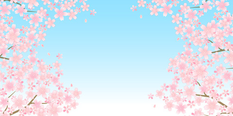 桜　和柄　水彩　背景