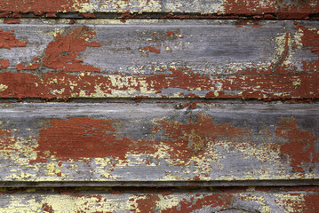 The texture of an old tree with peeling paint. 