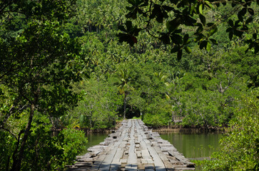 View and landscape of Mindanao Region, The Philippines, Lanuza area and Cortes.