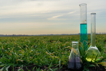 Image of a glass flask with a chemical solution on the background of young shoots of agricultural plants.