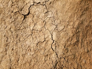 The ground has cracks in the top view for the background