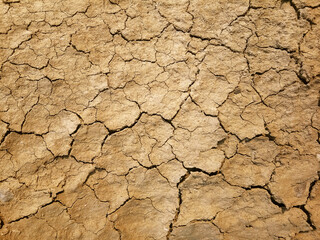 The ground has cracks in the top view for the background