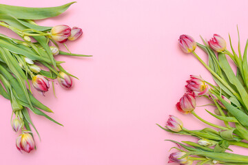 Spring background, Bouquet colorful tulips on pink background. Cooling greeting card for Valentine's day, woman's day, mother's day and Easter, universal selective focus wallpaper