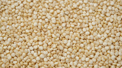Superfood quinoa seeds close up, rotation. 4K UHD footage