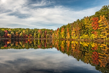Autumn Reflections in a Calm Lake with Blue Skies 19946