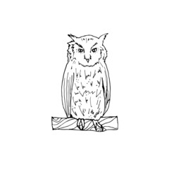 Image of a large owl in black and white