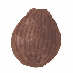 里芋　手描き　イラスト