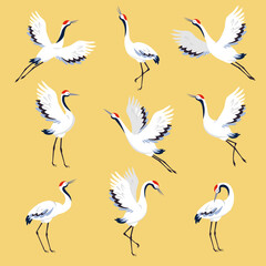 Red Crowned Crane as Long-legged and Long-necked Bird in Different Pose on Yellow Background Vector Set