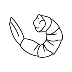 shrimp seafood line icon vector illustration