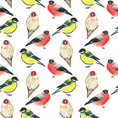 Watercolor winter bird seamless pattern on white background. Chickadee, bullfinch and goldfinch. Hand drawing illustration. Perfect for textile, wallpaper, print.