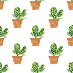 Watercolor Spinach in clay pot seamless pattern on white background. Greenery hand drawing illustration. Fresh green leaf for salad. Healthy food.