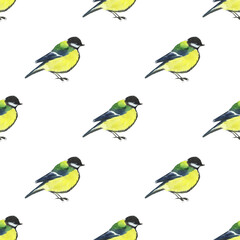 Watercolor chickadee bird seamless pattern on white background. Hand drawing illustration of animal. Titmouse.