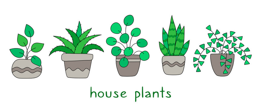 Set Of Green House Plants In Pots. Cute Decorative Potted Houseplants For Interior Home Or Office: Ficus, Aloe, Snake Plant And Others. Hand Drawn Cartoon Flat Vector Illustration. Isolated On White.