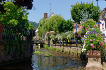 View of Niederbronn-les-bains in spring with the ruver and the flowers