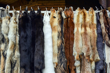 Dressed skins of wild animals for sale
