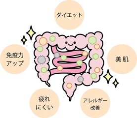 腸内環境のイラスト