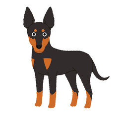 マンチェスターテリアの犬イラスト