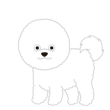 ビションフリーゼ Images Browse 326 Stock Photos Vectors And Video Adobe Stock
