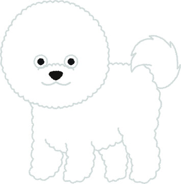 ビションフリーゼ Images Browse 293 Stock Photos Vectors And Video Adobe Stock