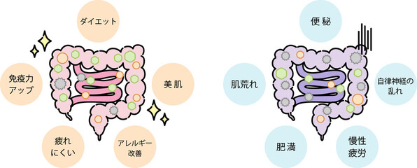 腸内環境のイラスト