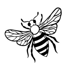 insects, wasps in the style of doodles. Vector. Line art bee hand-drawn