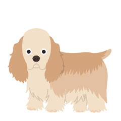 アメリカンコッカースパニエルの犬イラスト