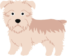 グレンオブイマールテリアの犬イラスト