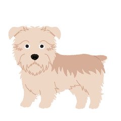 グレンオブイマールテリアの犬イラスト