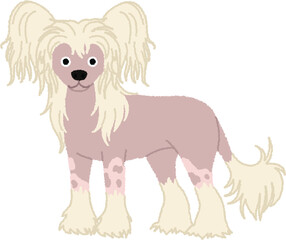 チャイニーズクレステッドドッグの犬イラスト