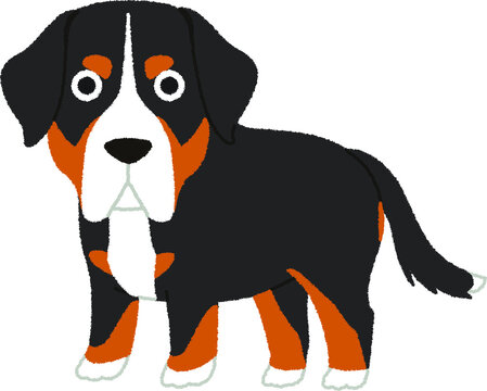 Grand Bouvier Suisse Images Browse 2 503 Stock Photos Vectors And Video Adobe Stock
