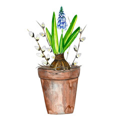 Cute watercolor illustration with flower, pussy willow for decor, cards