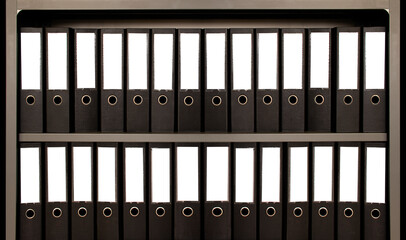 Mock up white spine label of office document folders standing in a row