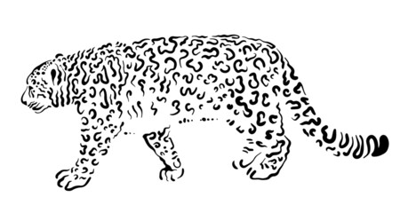 vector silhouette of a snow leopard