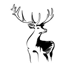 Stag deer sketch vector graphics monochrome black and white drawing