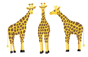 A collection of giraffes in different poses