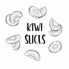 Kiwi hand drawn collection by ink and pen sketch. Doodle kiwi fruit. Isolated vector design for fruit and vegetable products and health care goods.