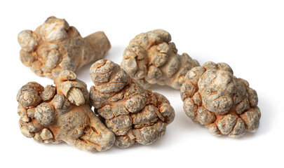 Dried herb, notoginseng roots isolated on white background