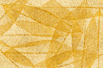 Fond de feuilles dorées 