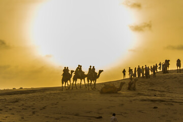 Various views of the Sam's sand dunes