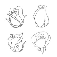 Line art rose flower illustration vector on white background