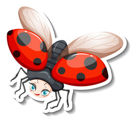 Fototapeta premium Ladybug animal cartoon sticker