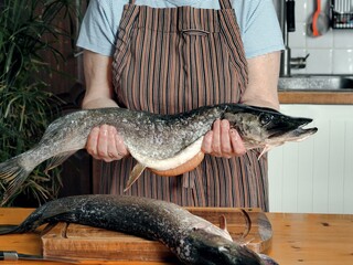 An elderly woman processes fresh pike at home. The process of preparing healthy food from fish.