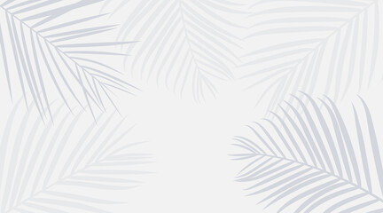 Vector shadow from tropical palm leaves on the white floor. Workplace and relaxation on the beach