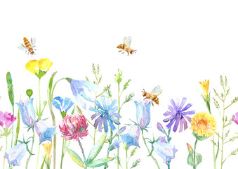 Floral seamless border of a bee, wild flowers and herbs on a white background.Buttercup, clover,bluebell,vetch,timothy grass,lobelia,spike. Watercolor hand drawn illustration.	 - 489174975