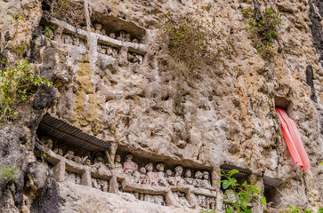 Views in detail of Rantepao and Tana Toraja Regency. Shoeing the graves, rice fields and markets....